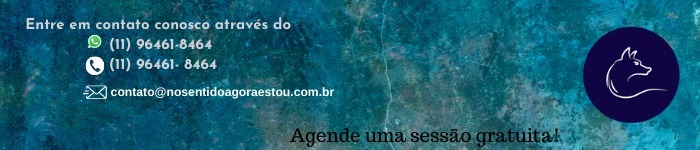 No Sentido Agora Estou 165061044 491586858890954 6295840464742591856 n 1 3